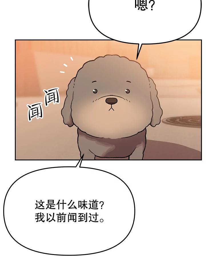 《彩虹桥守望者》112.被坏人找到 第39页