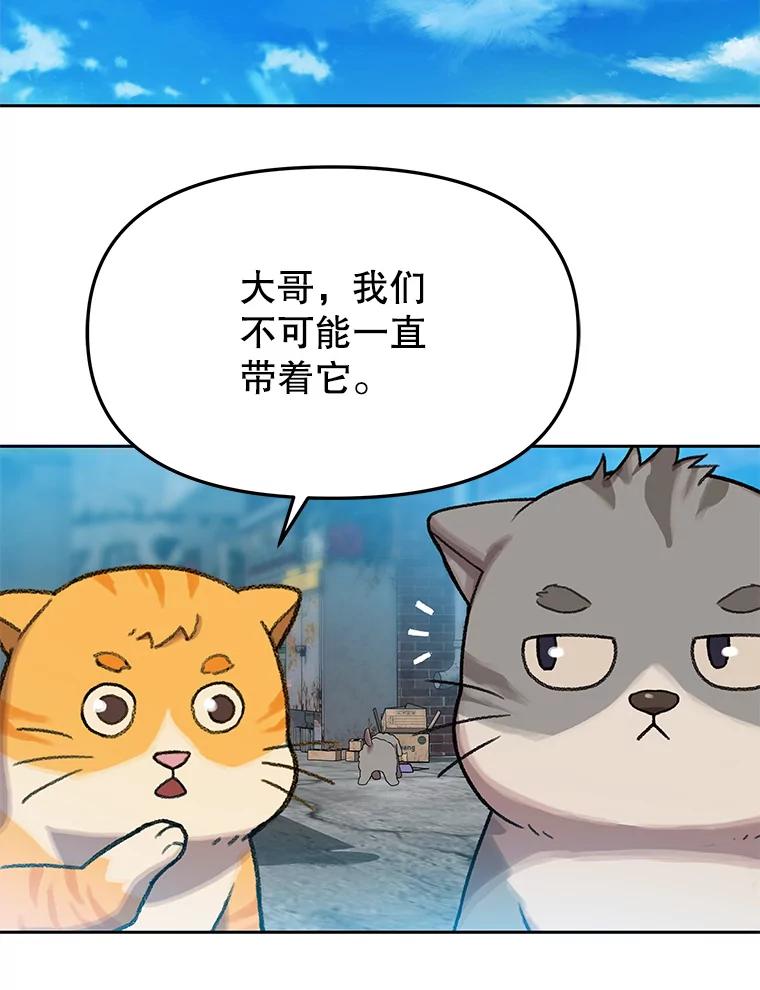 《彩虹桥守望者》112.被坏人找到 第28页