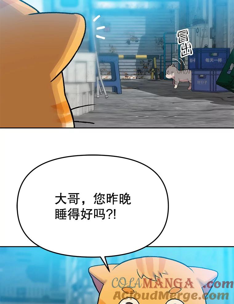 《彩虹桥守望者》112.被坏人找到 第25页