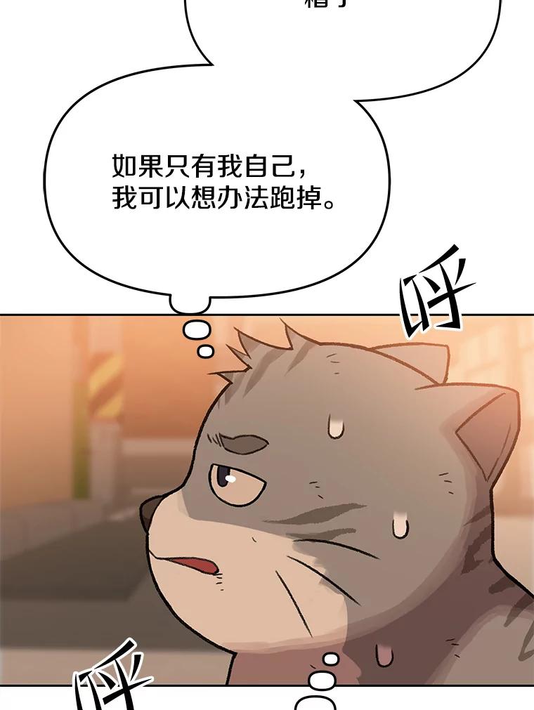《彩虹桥守望者》112.被坏人找到 第67页
