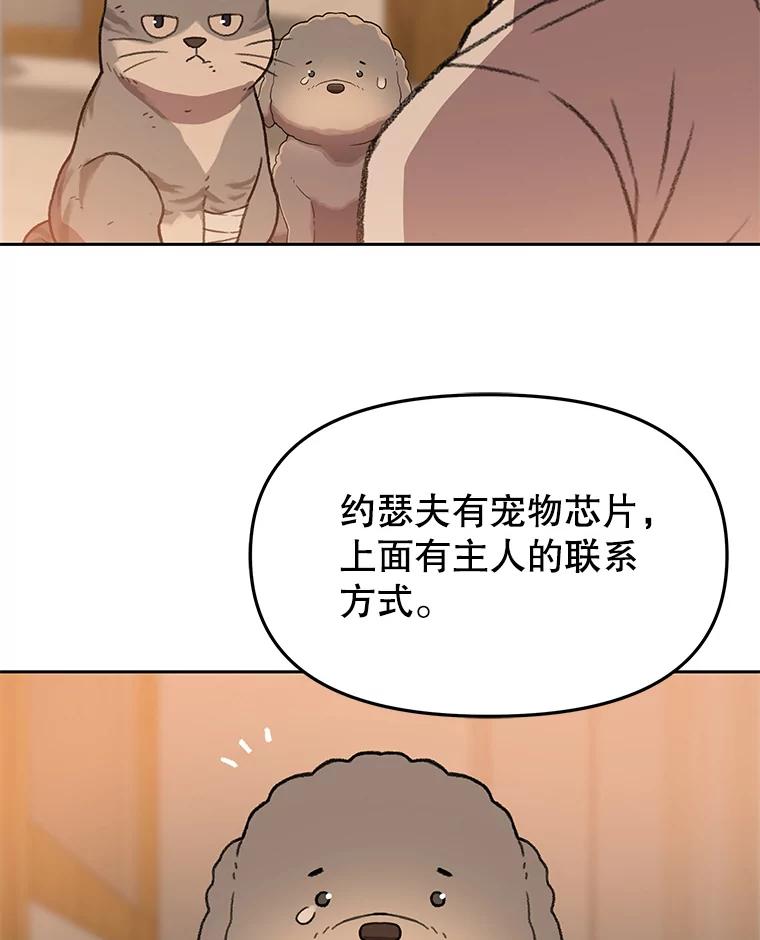 《彩虹桥守望者》112.被坏人找到 第82页