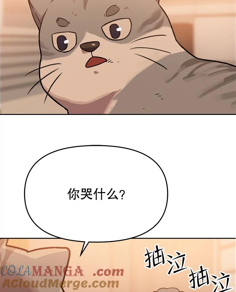 《彩虹桥守望者》112.被坏人找到 第85页
