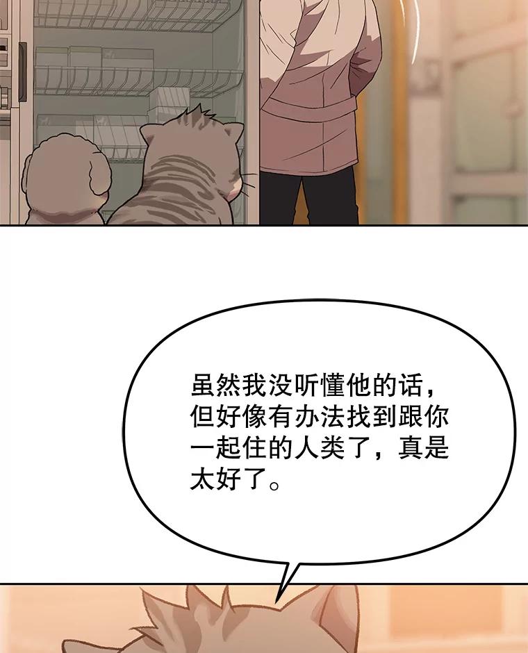 《彩虹桥守望者》112.被坏人找到 第84页