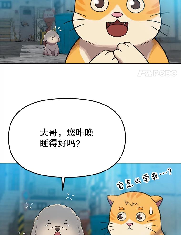 《彩虹桥守望者》112.被坏人找到 第26页