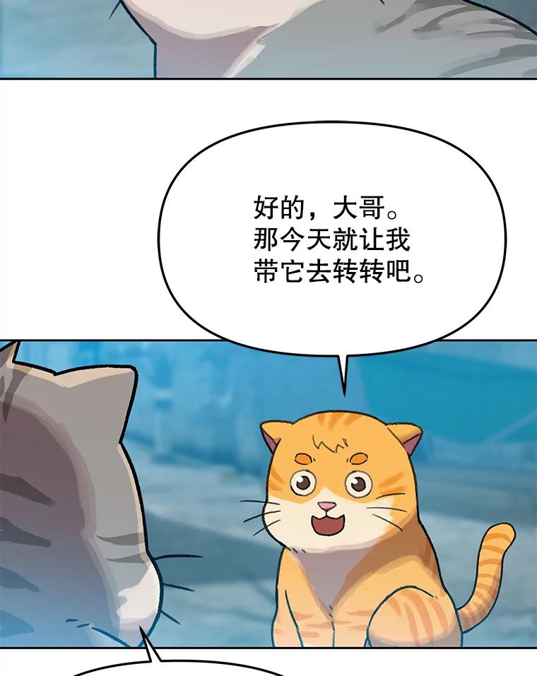 《彩虹桥守望者》112.被坏人找到 第31页