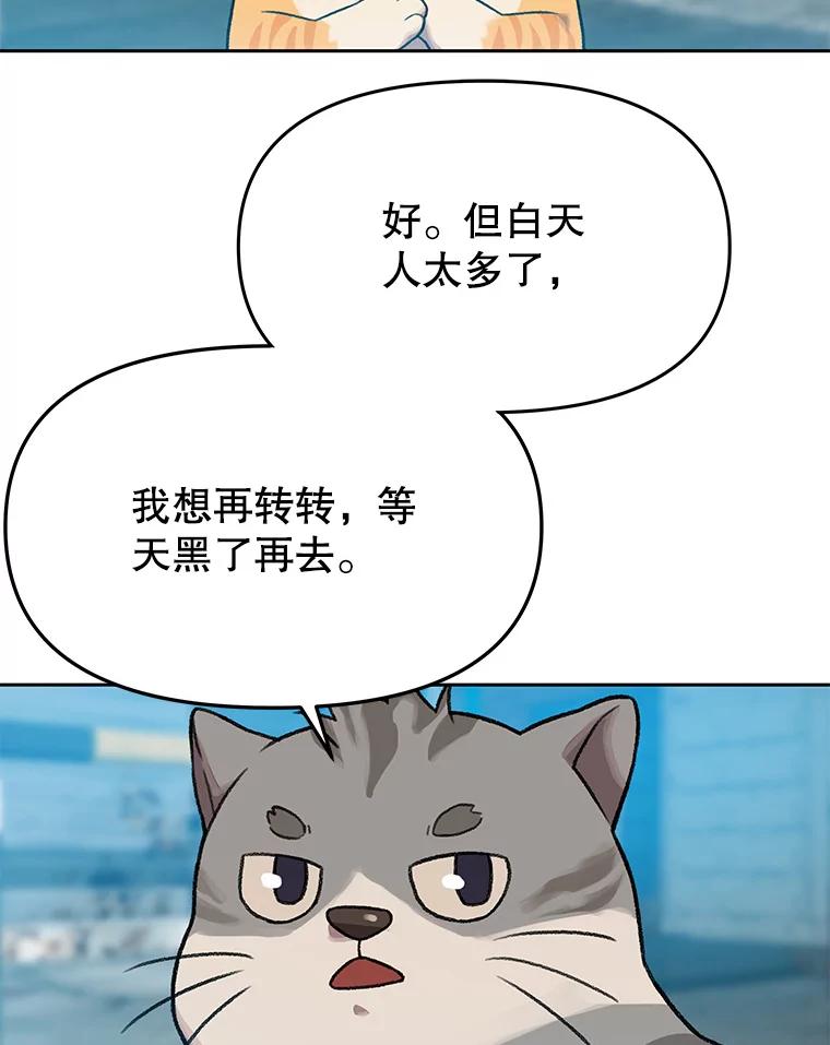 《彩虹桥守望者》112.被坏人找到 第30页