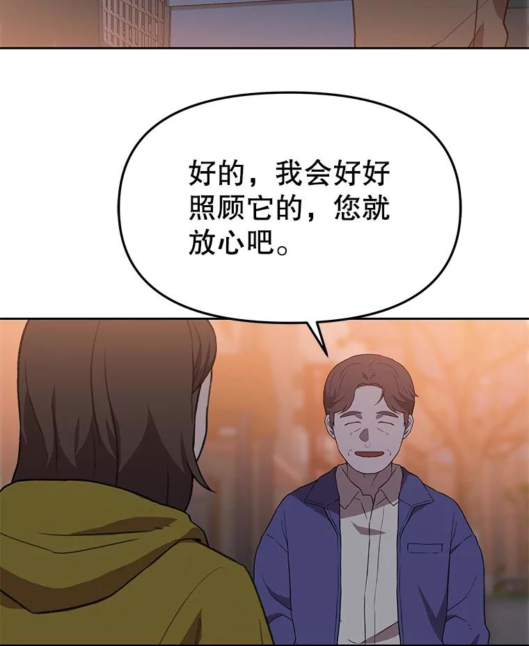 《彩虹桥守望者》113.救下约瑟夫 第62页
