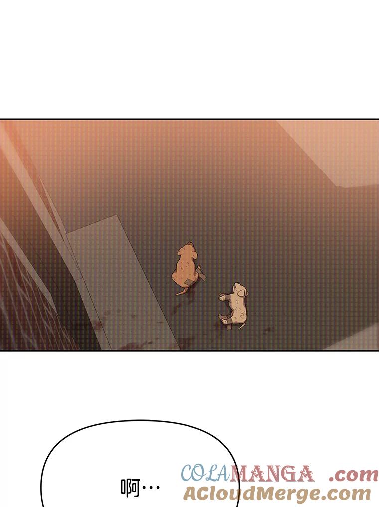 《彩虹桥守望者》113.救下约瑟夫 第28页