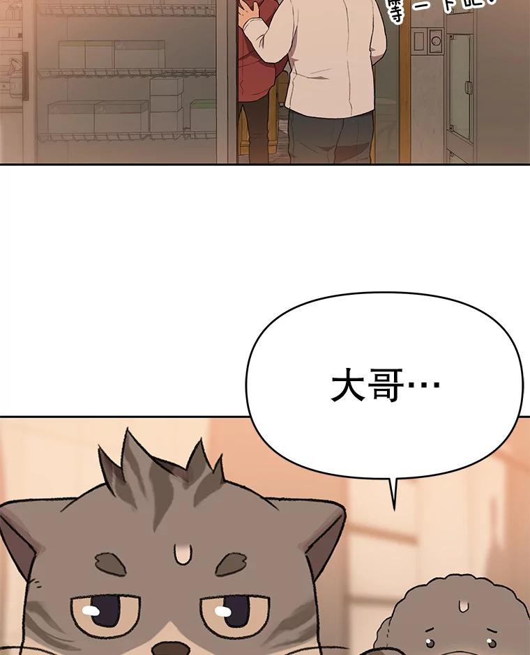 《彩虹桥守望者》113.救下约瑟夫 第23页