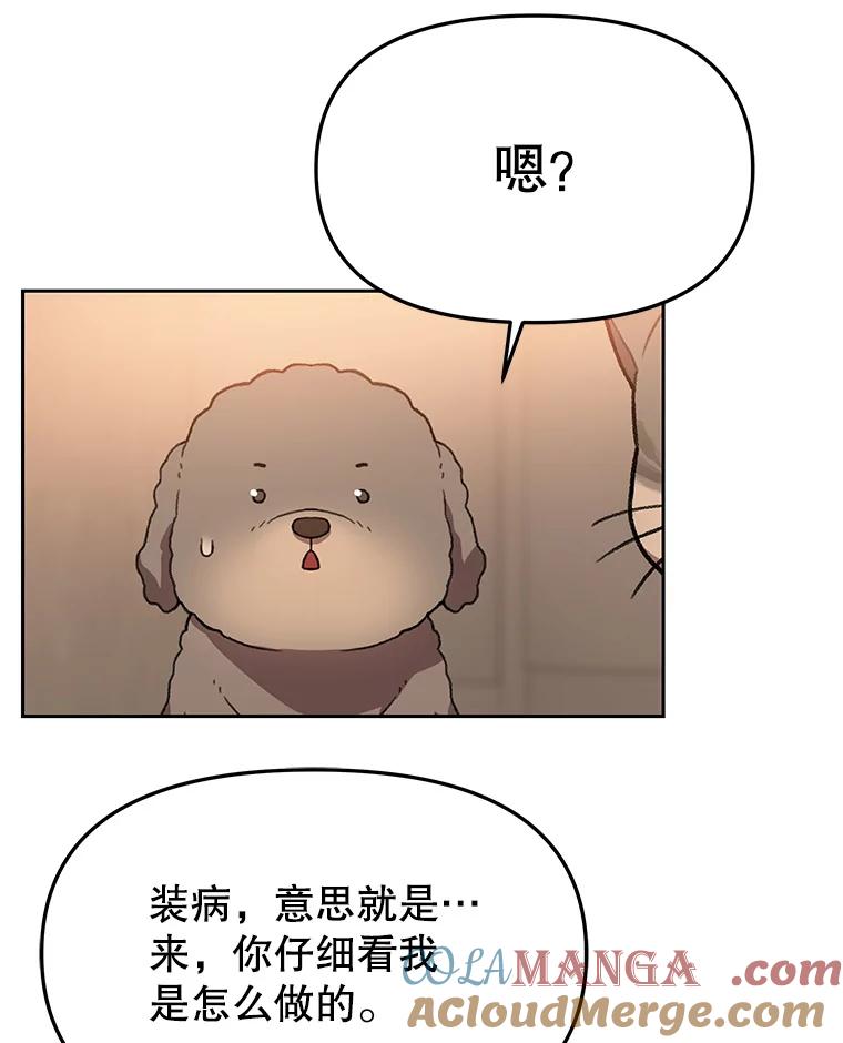《彩虹桥守望者》113.救下约瑟夫 第34页