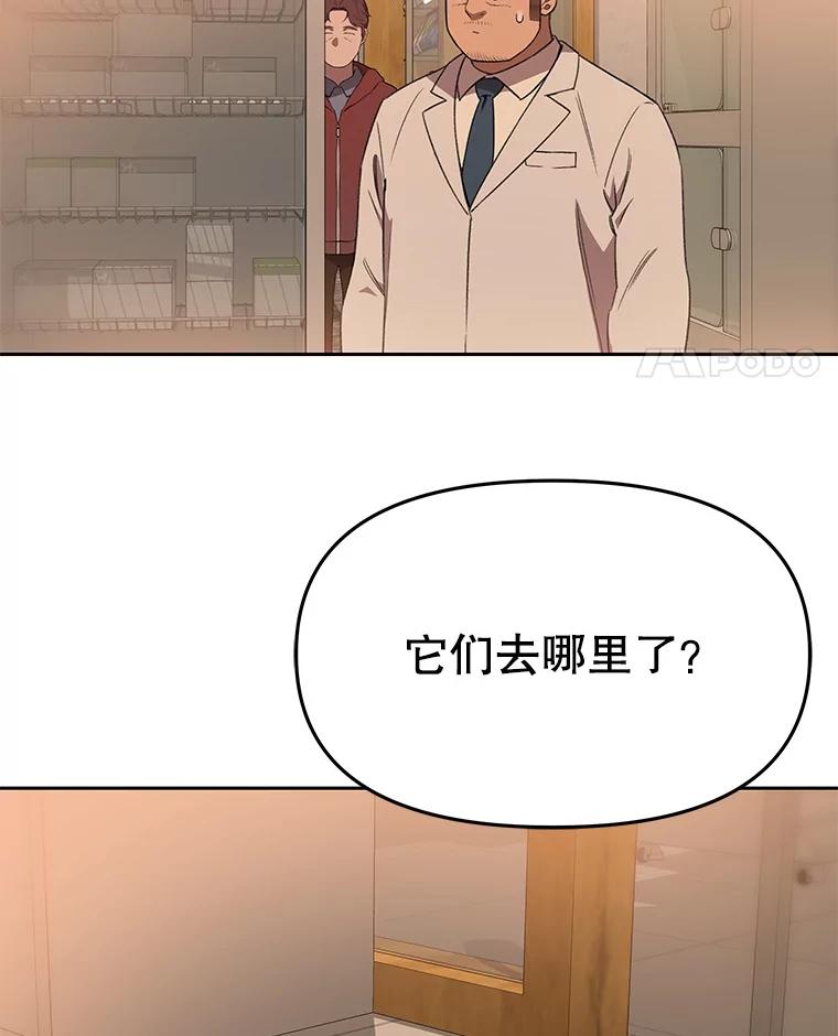 《彩虹桥守望者》113.救下约瑟夫 第15页