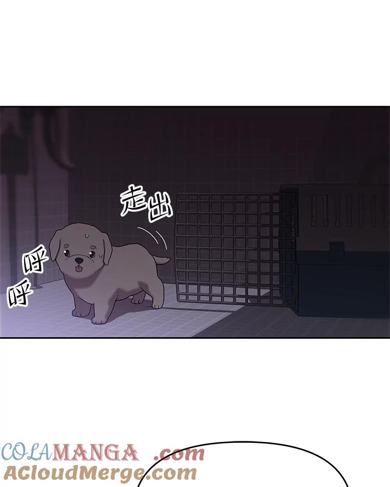 《彩虹桥守望者》113.救下约瑟夫 第67页