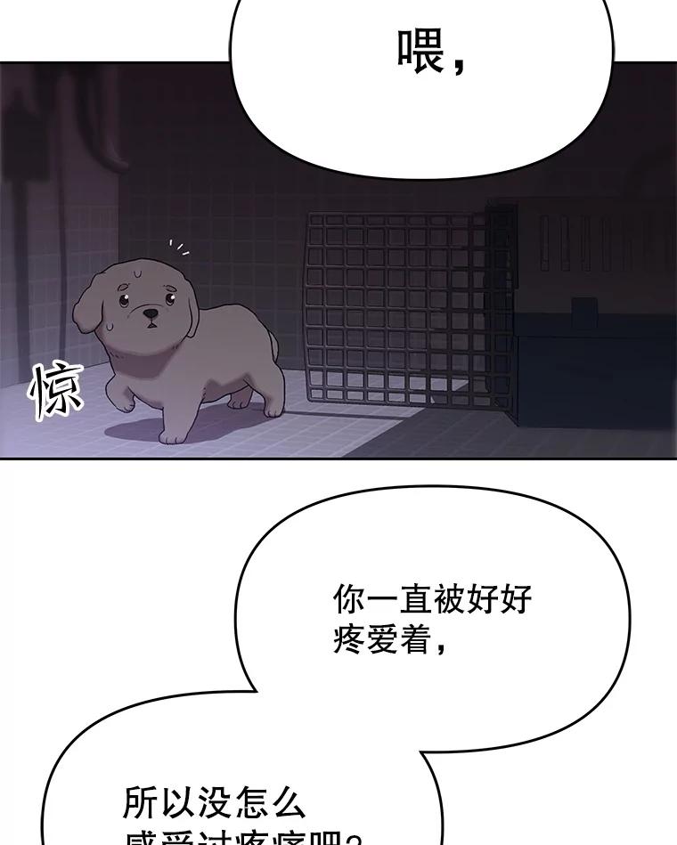 《彩虹桥守望者》113.救下约瑟夫 第68页