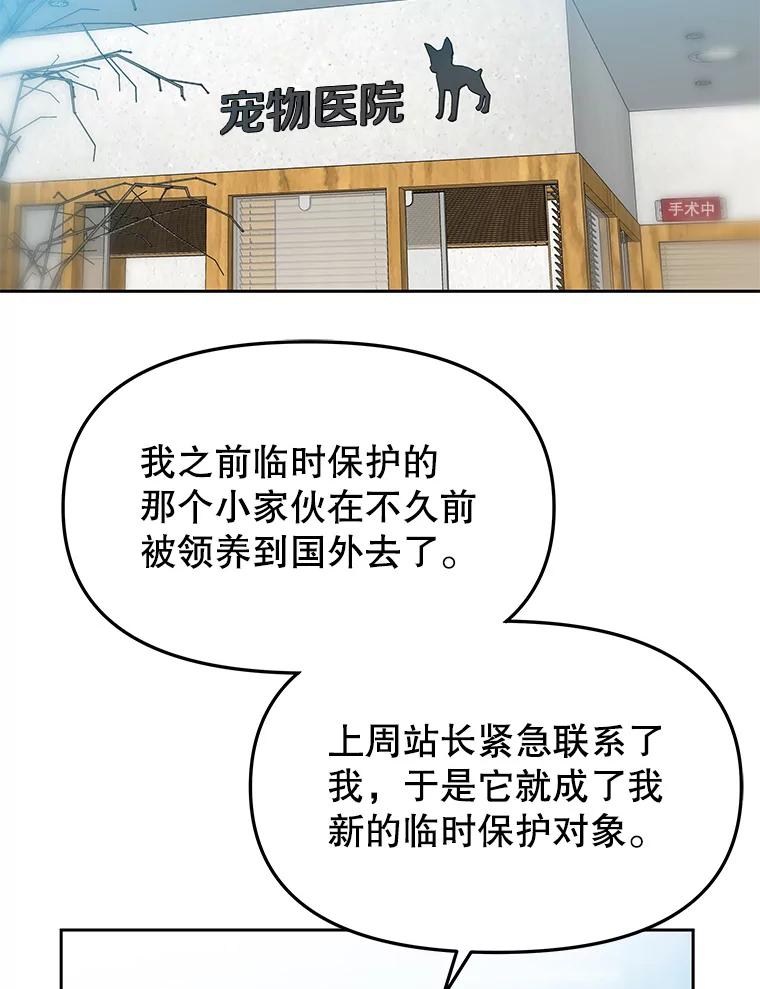 《彩虹桥守望者》114.连环杀人案 第17页