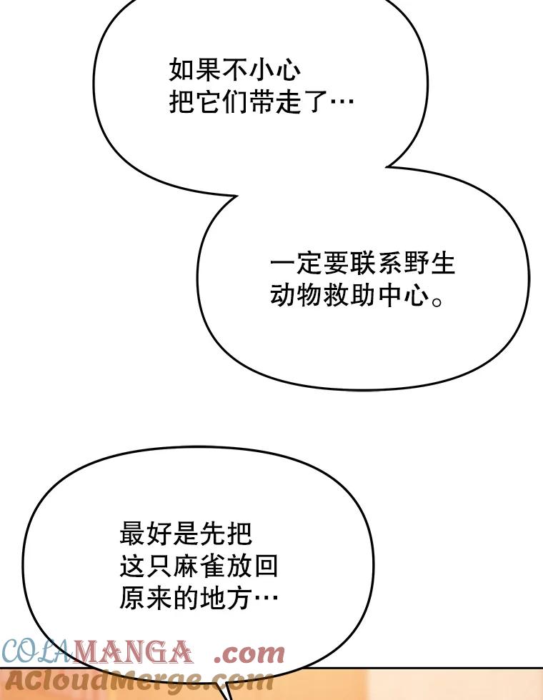 《彩虹桥守望者》117.离巢的鸟宝宝 第28页