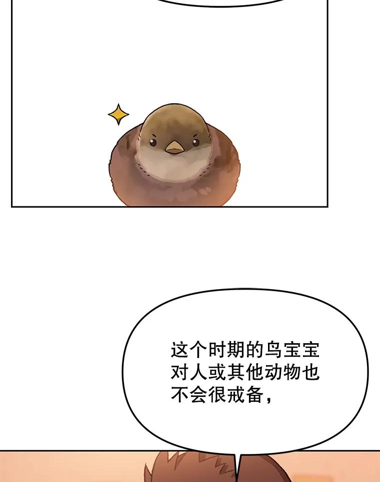 《彩虹桥守望者》117.离巢的鸟宝宝 第24页