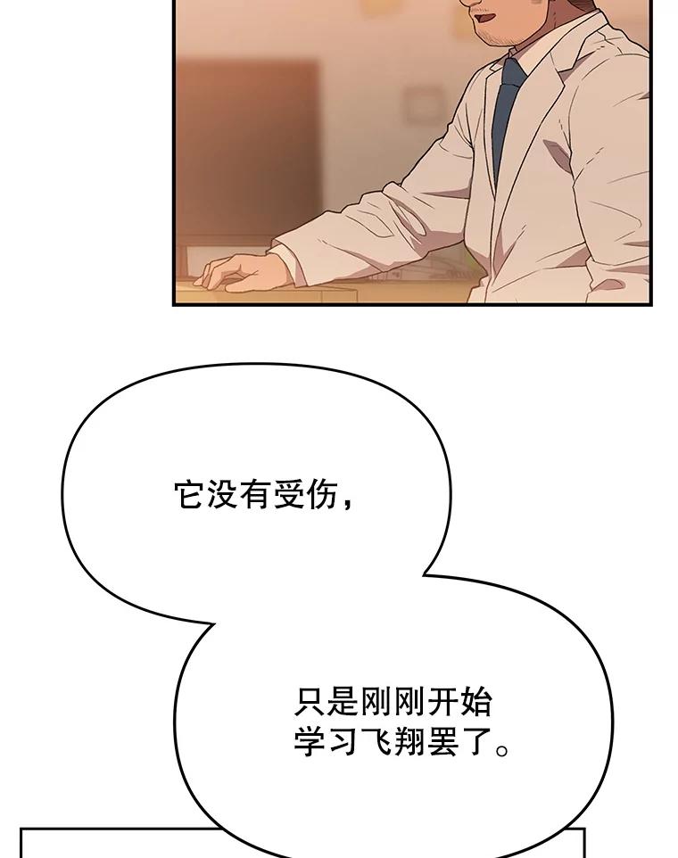 《彩虹桥守望者》117.离巢的鸟宝宝 第23页