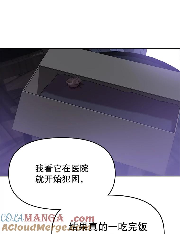 《彩虹桥守望者》117.离巢的鸟宝宝 第37页