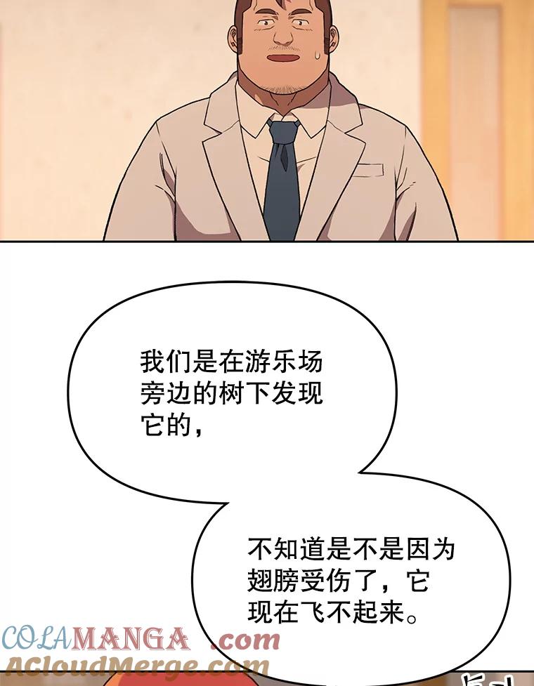 《彩虹桥守望者》117.离巢的鸟宝宝 第16页