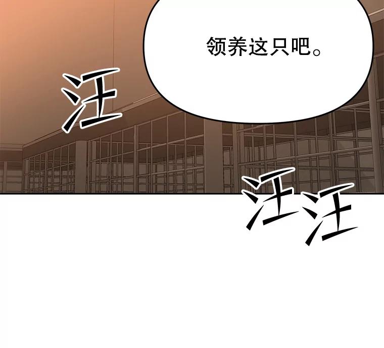 《彩虹桥守望者》118.峻亨的故事 第17页