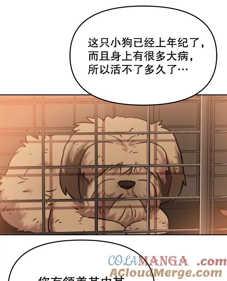 《彩虹桥守望者》118.峻亨的故事 第13页