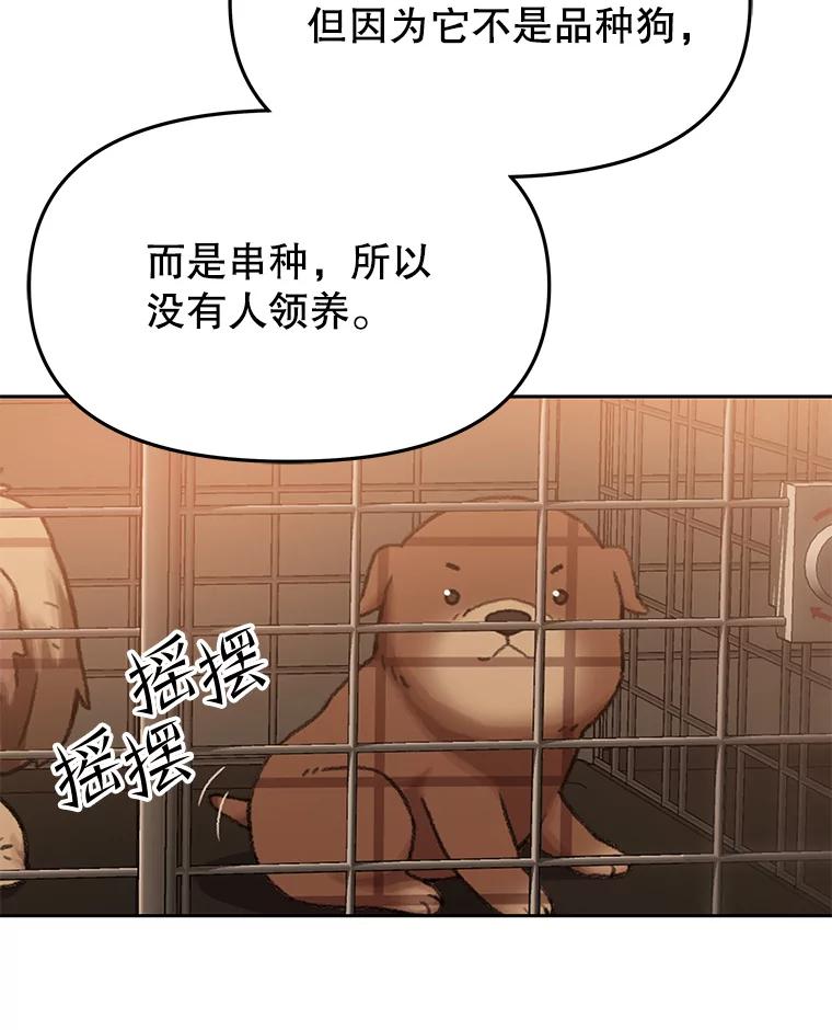 《彩虹桥守望者》118.峻亨的故事 第12页