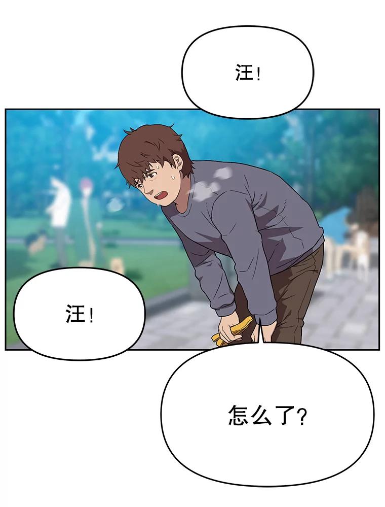 《彩虹桥守望者》119.带太阳散步 第51页