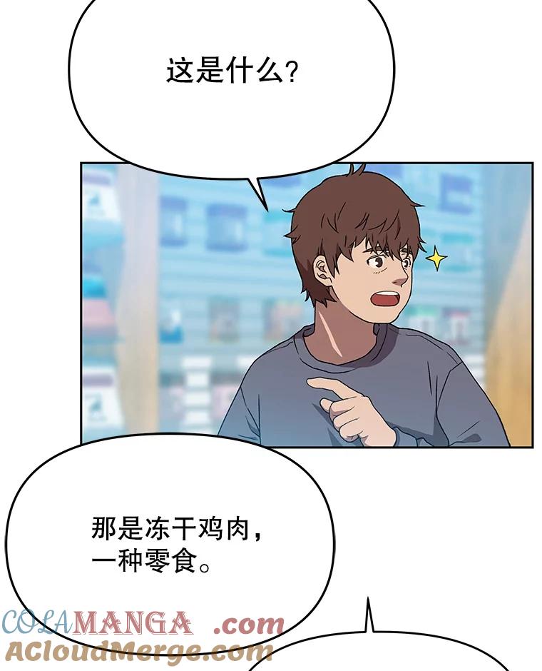 《彩虹桥守望者》119.带太阳散步 第22页
