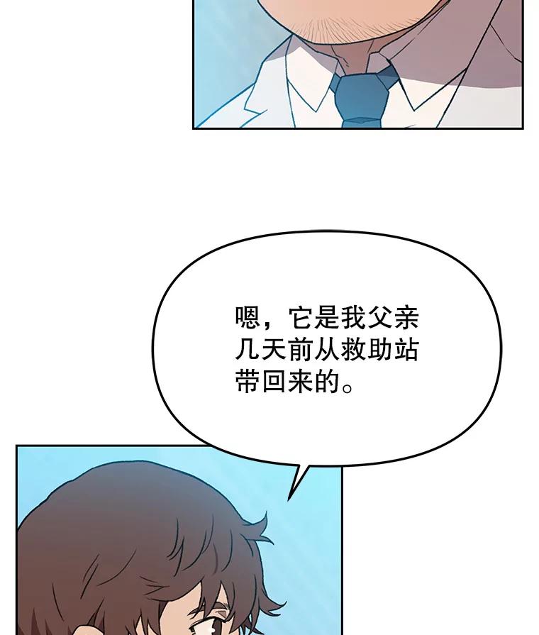 《彩虹桥守望者》119.带太阳散步 第15页