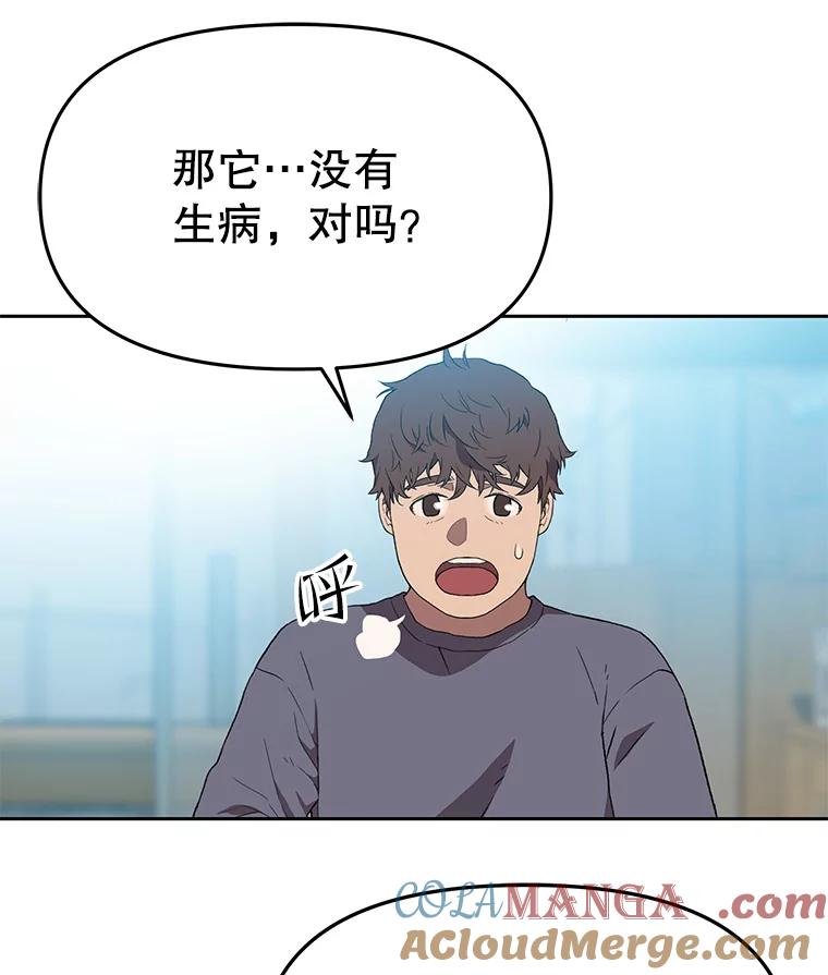 《彩虹桥守望者》119.带太阳散步 第13页