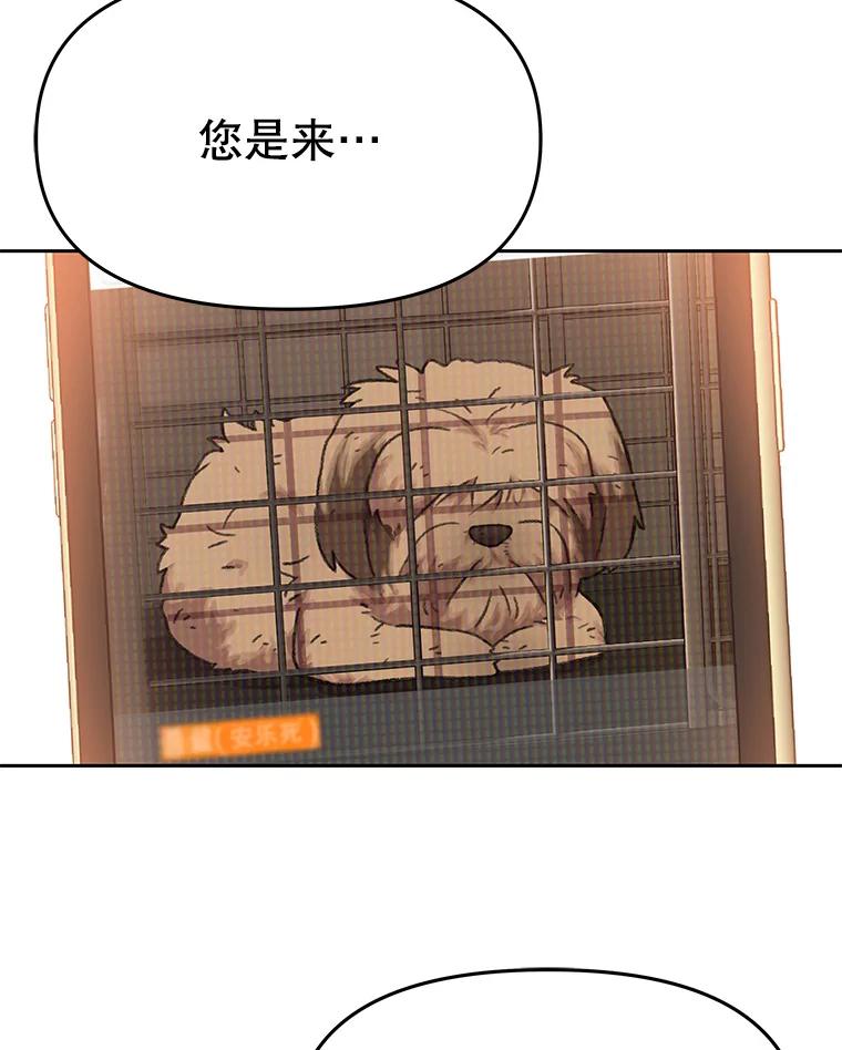 《彩虹桥守望者》119.带太阳散步 第66页