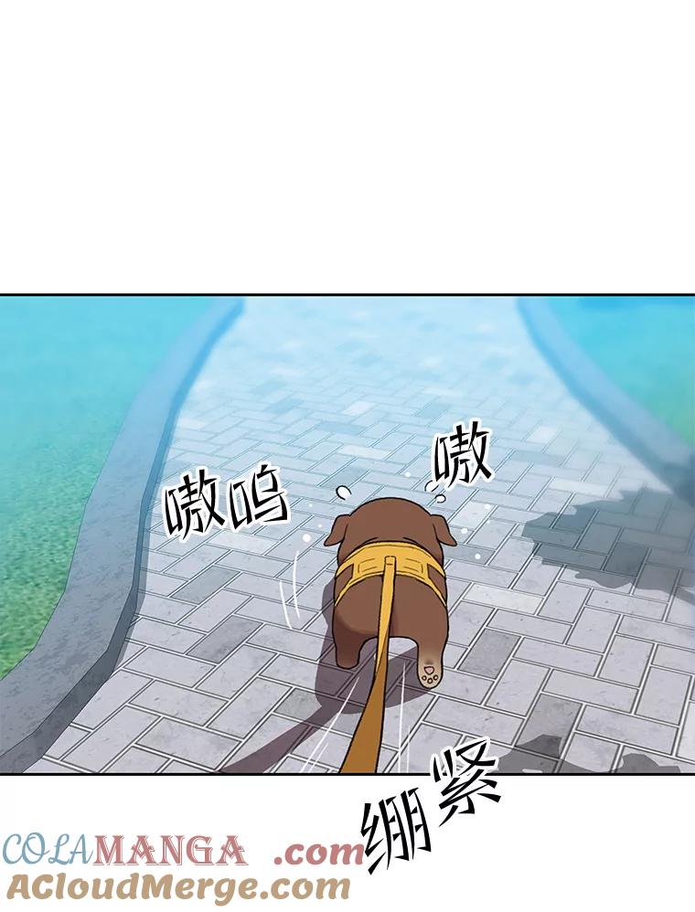 《彩虹桥守望者》119.带太阳散步 第46页