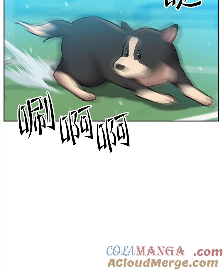 《彩虹桥守望者》119.带太阳散步 第58页