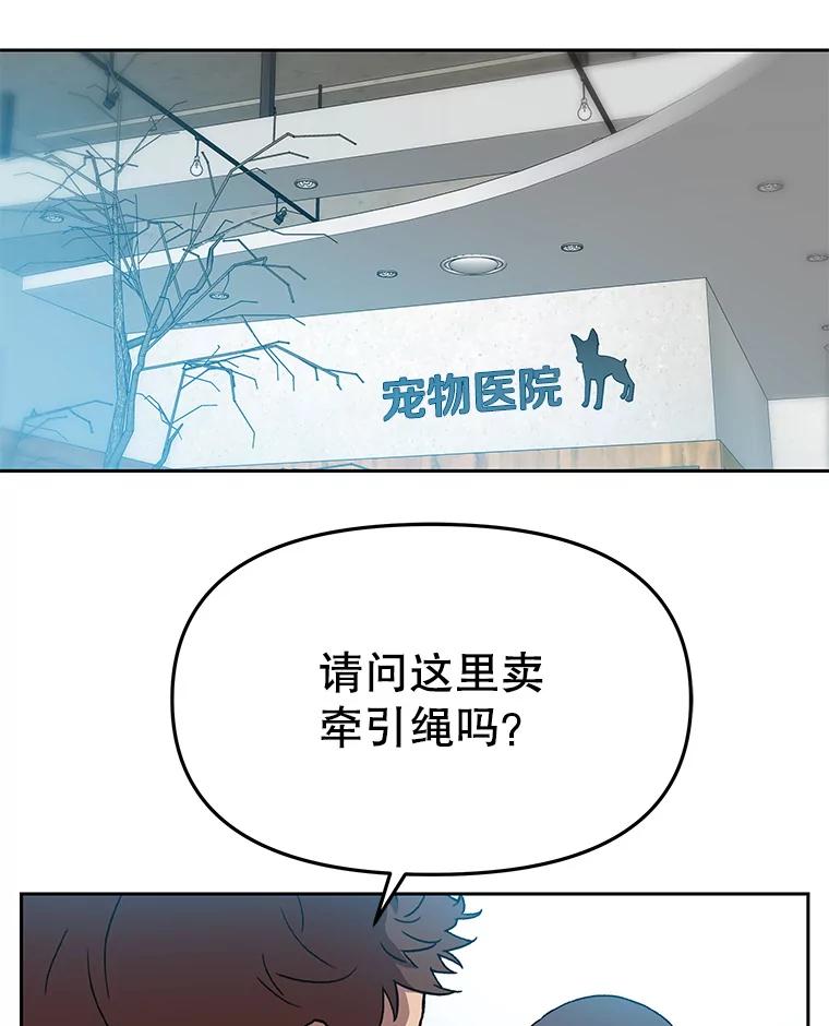 《彩虹桥守望者》119.带太阳散步 第20页