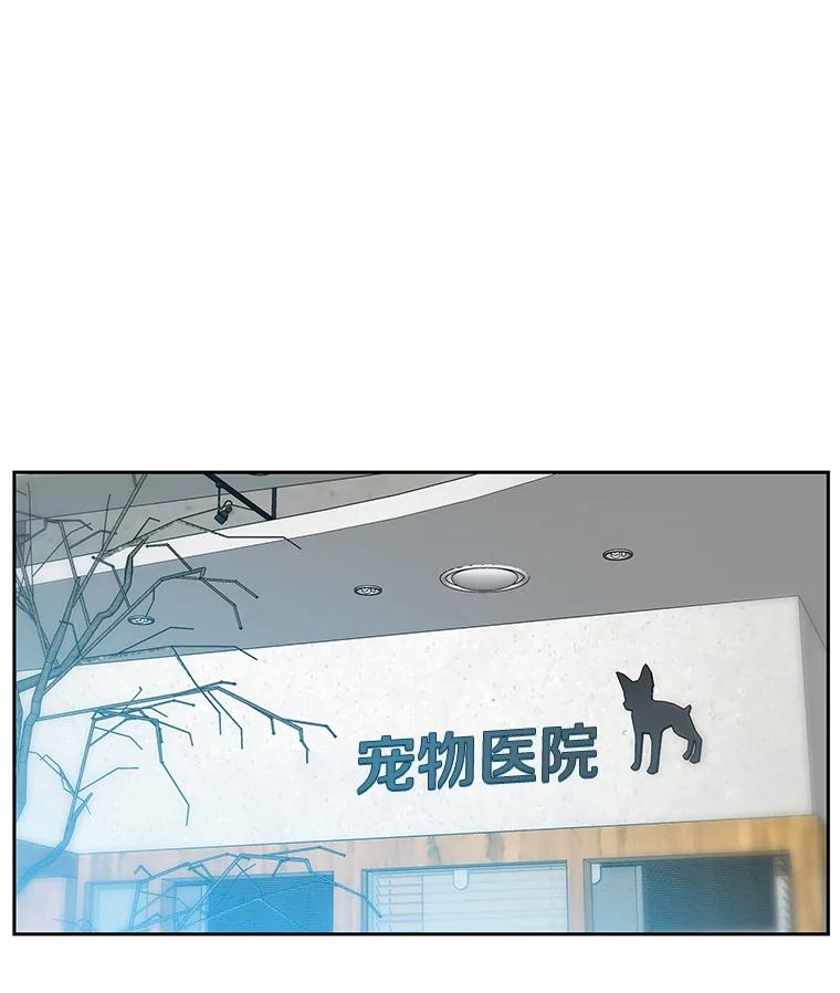 《彩虹桥守望者》120.领养云儿 第39页