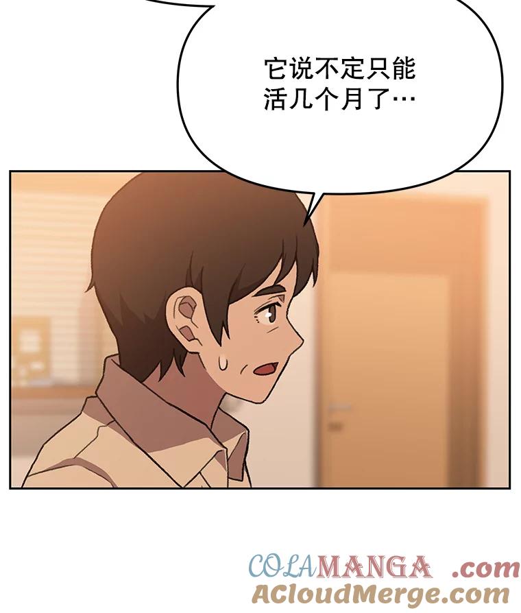 《彩虹桥守望者》120.领养云儿 第25页