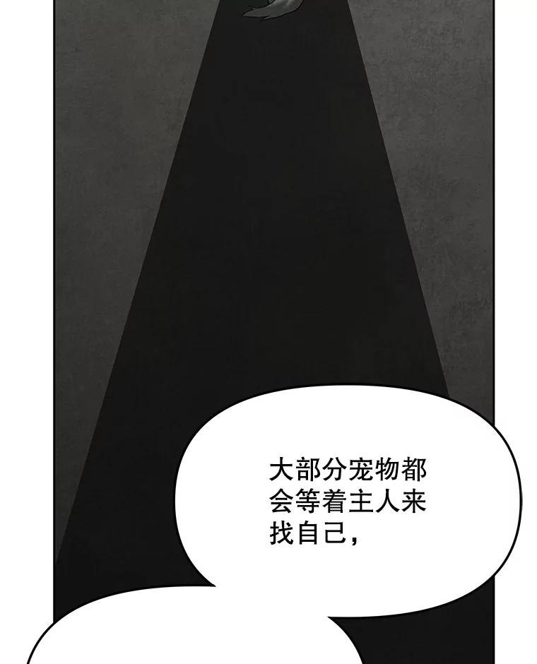 《彩虹桥守望者》122.冬日雪下 第72页