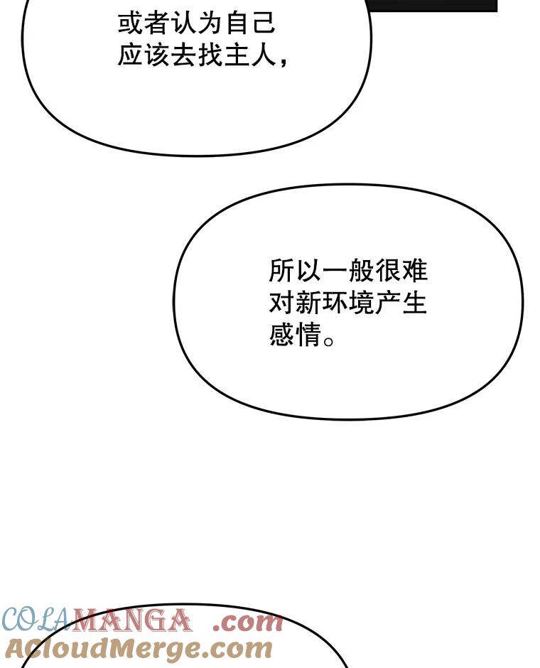 《彩虹桥守望者》122.冬日雪下 第73页