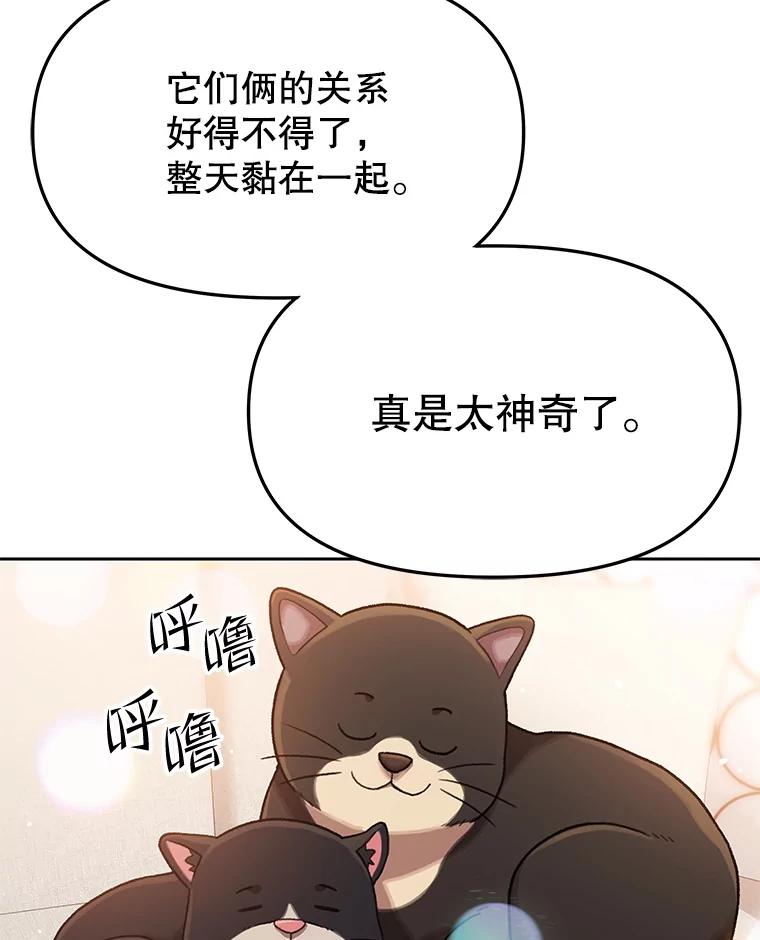 《彩虹桥守望者》124.一起看海 第17页