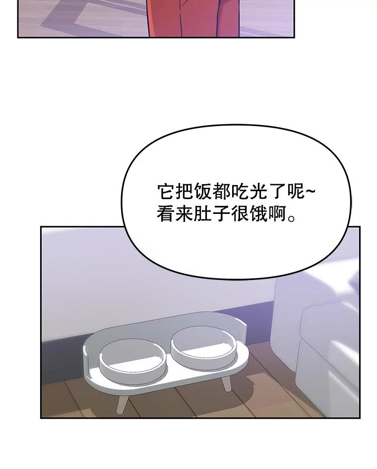 《彩虹桥守望者》125.带小豆子看病 第47页