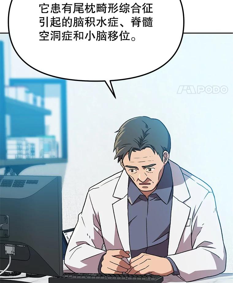 《彩虹桥守望者》126.小豆子做检查 第74页