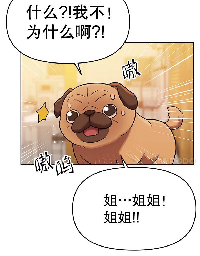 《彩虹桥守望者》126.小豆子做检查 第39页