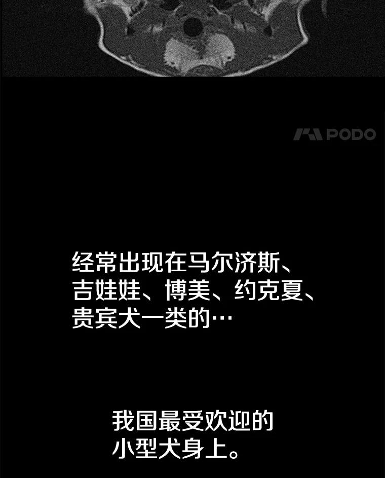 《彩虹桥守望者》127.主人的选择 第8页