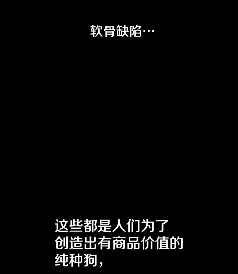 《彩虹桥守望者》127.主人的选择 第5页