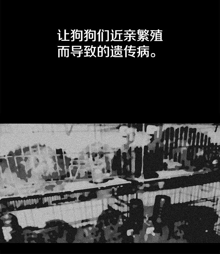 《彩虹桥守望者》127.主人的选择 第6页