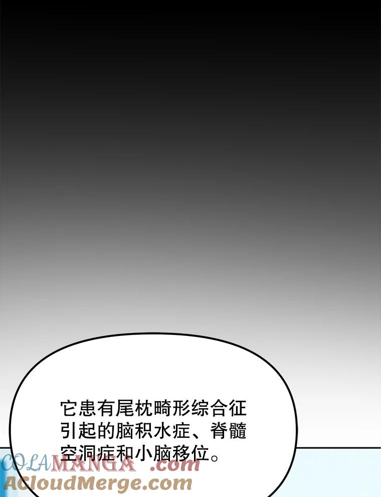 《彩虹桥守望者》127.主人的选择 第13页