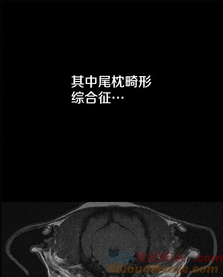 《彩虹桥守望者》127.主人的选择 第7页