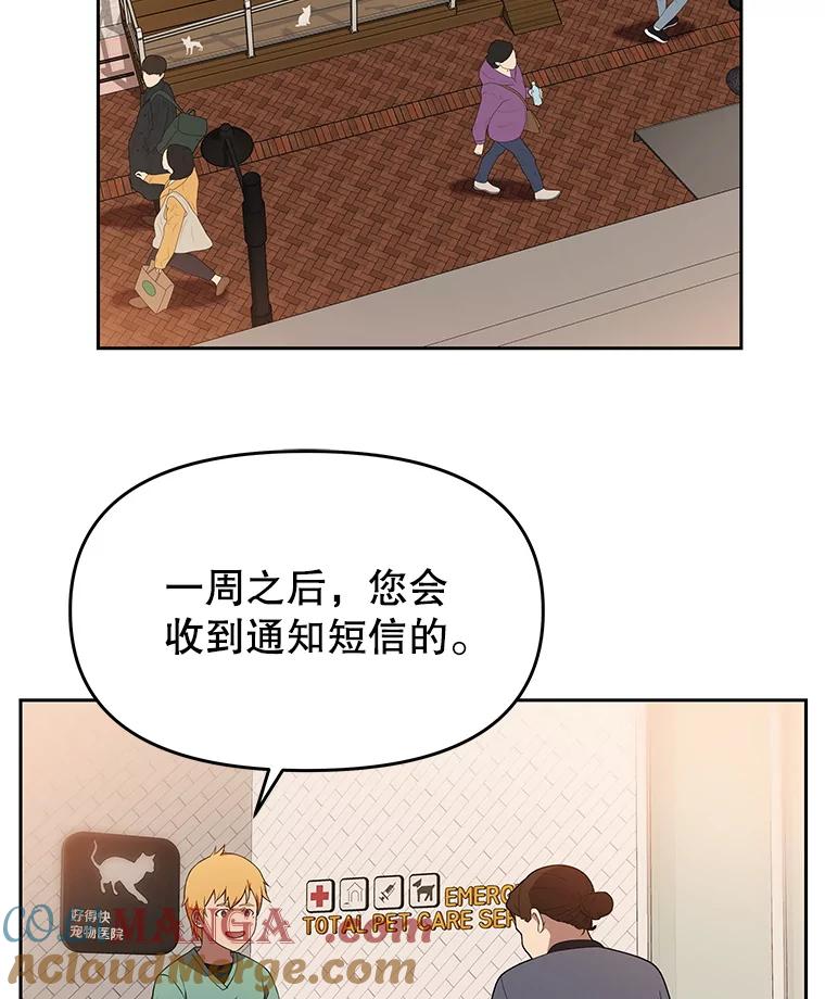 《彩虹桥守望者》127.主人的选择 第43页