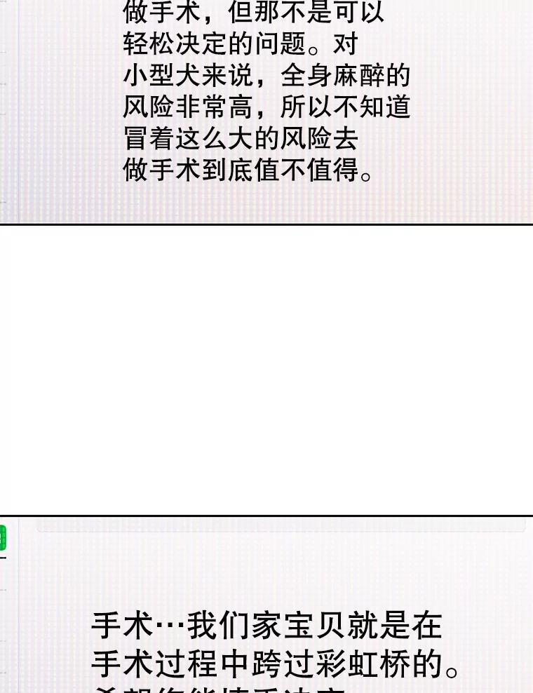 《彩虹桥守望者》128.预约手术 第44页