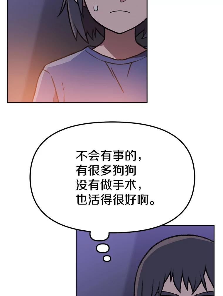 《彩虹桥守望者》129.兽医的决定 第30页